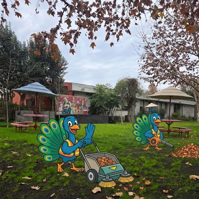 Nuestro querido Kevin 🦚están trabajando full para dejar hermoso nuestro parque para la nueva temporada,…